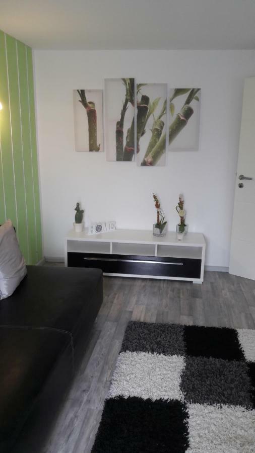 Schrammi'S Ferienwohnung Schwanau Exteriér fotografie